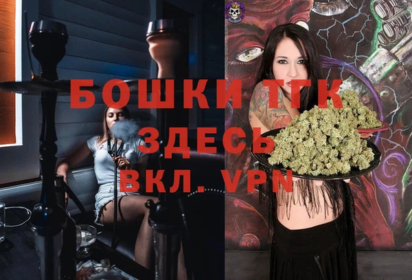 дурь Ельня