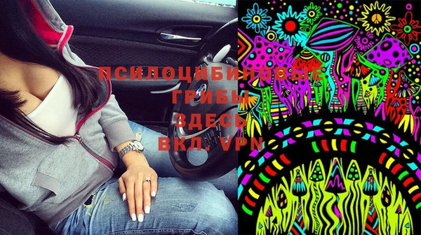 ГАЛЛЮЦИНОГЕННЫЕ ГРИБЫ Елизово