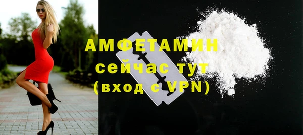 дурь Ельня