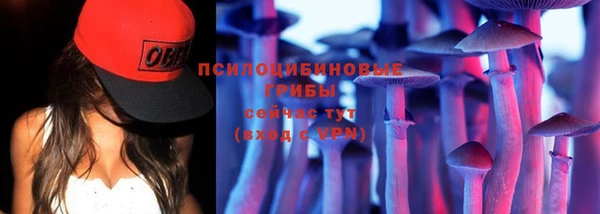 дурь Ельня