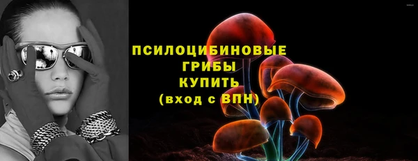 ГАЛЛЮЦИНОГЕННЫЕ ГРИБЫ Елизово