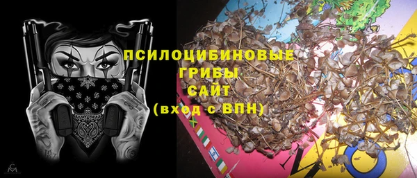 дурь Ельня
