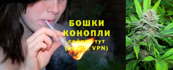 дурь Ельня