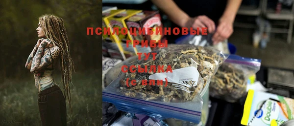 ГАЛЛЮЦИНОГЕННЫЕ ГРИБЫ Елизово
