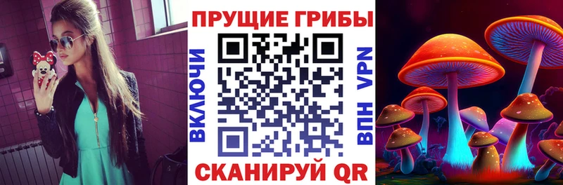 Галлюциногенные грибы Psilocybe  Купить закладки  Краснозаводск 